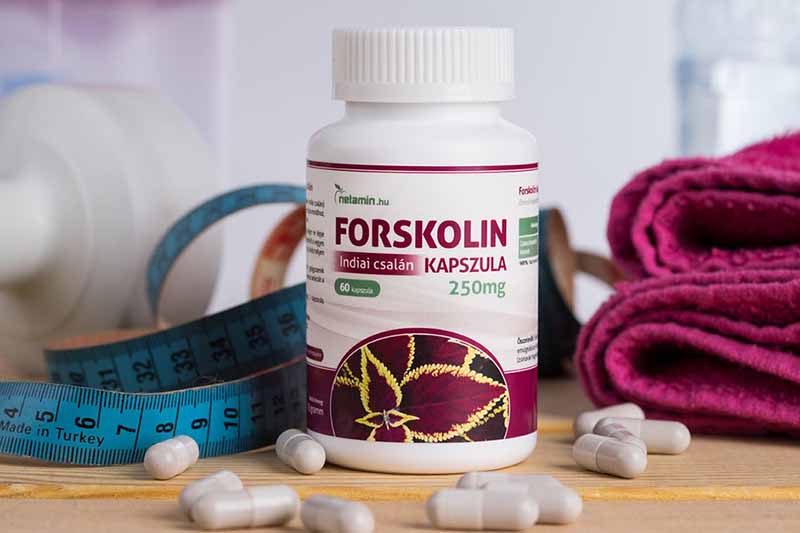 Opinion forskolin 250