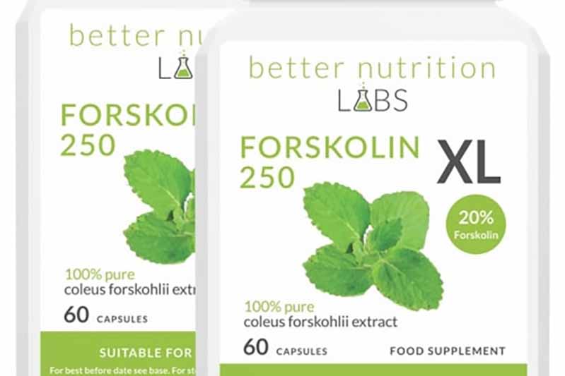 Prezzo forskolin 250