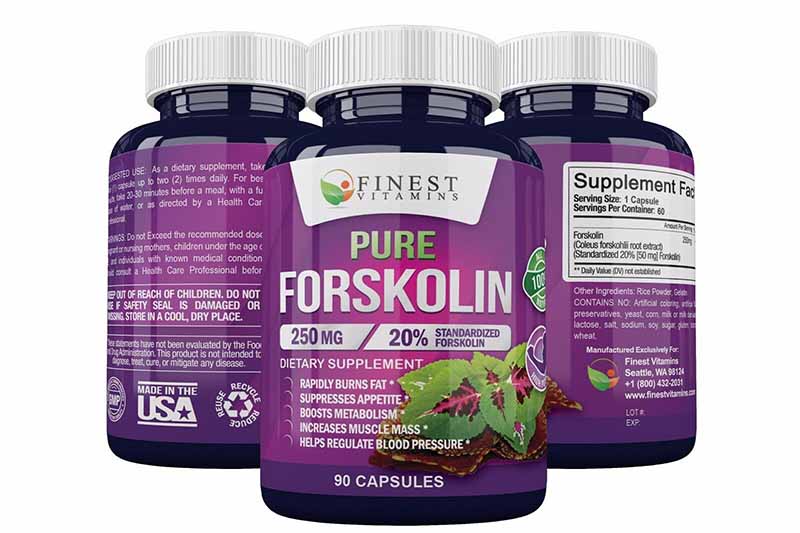 Test forskolin 250