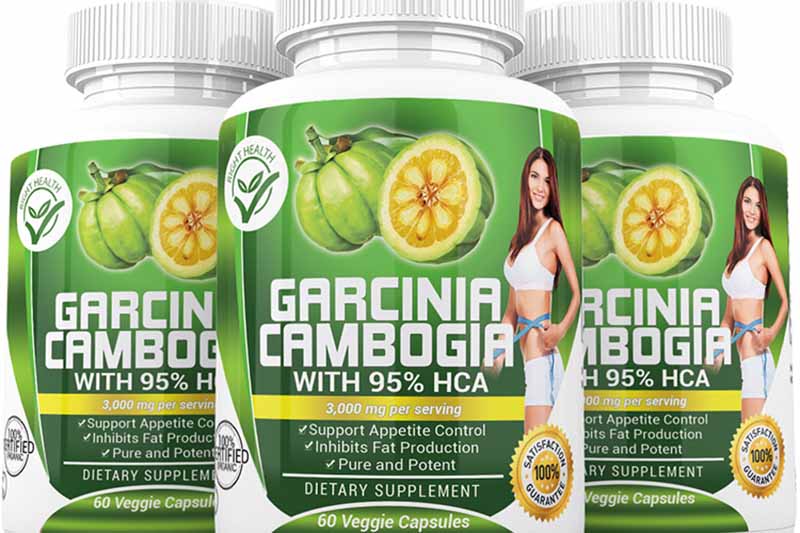 Test garcinia cambodgia