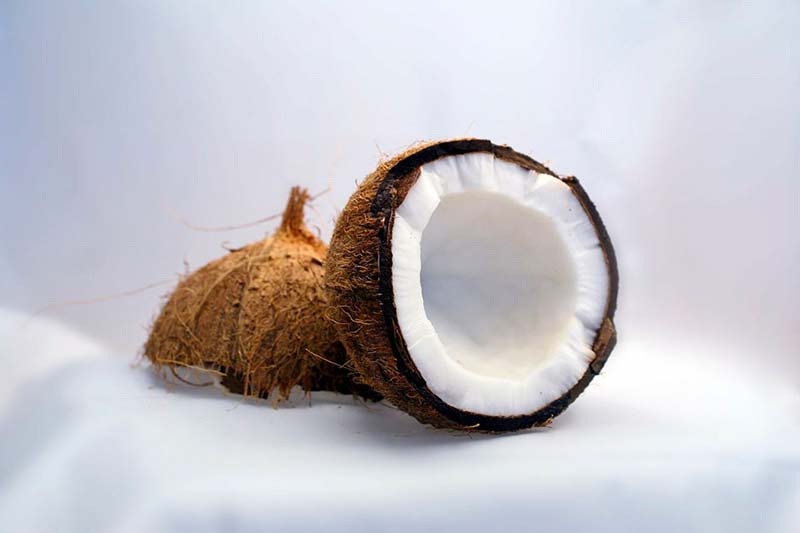 Le virtù della noce di cocco: i benefici e i vantaggi di questo sano alleato
